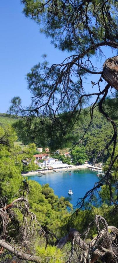 Skopelos Country House Diamantis & Chrisi Agnontas المظهر الخارجي الصورة