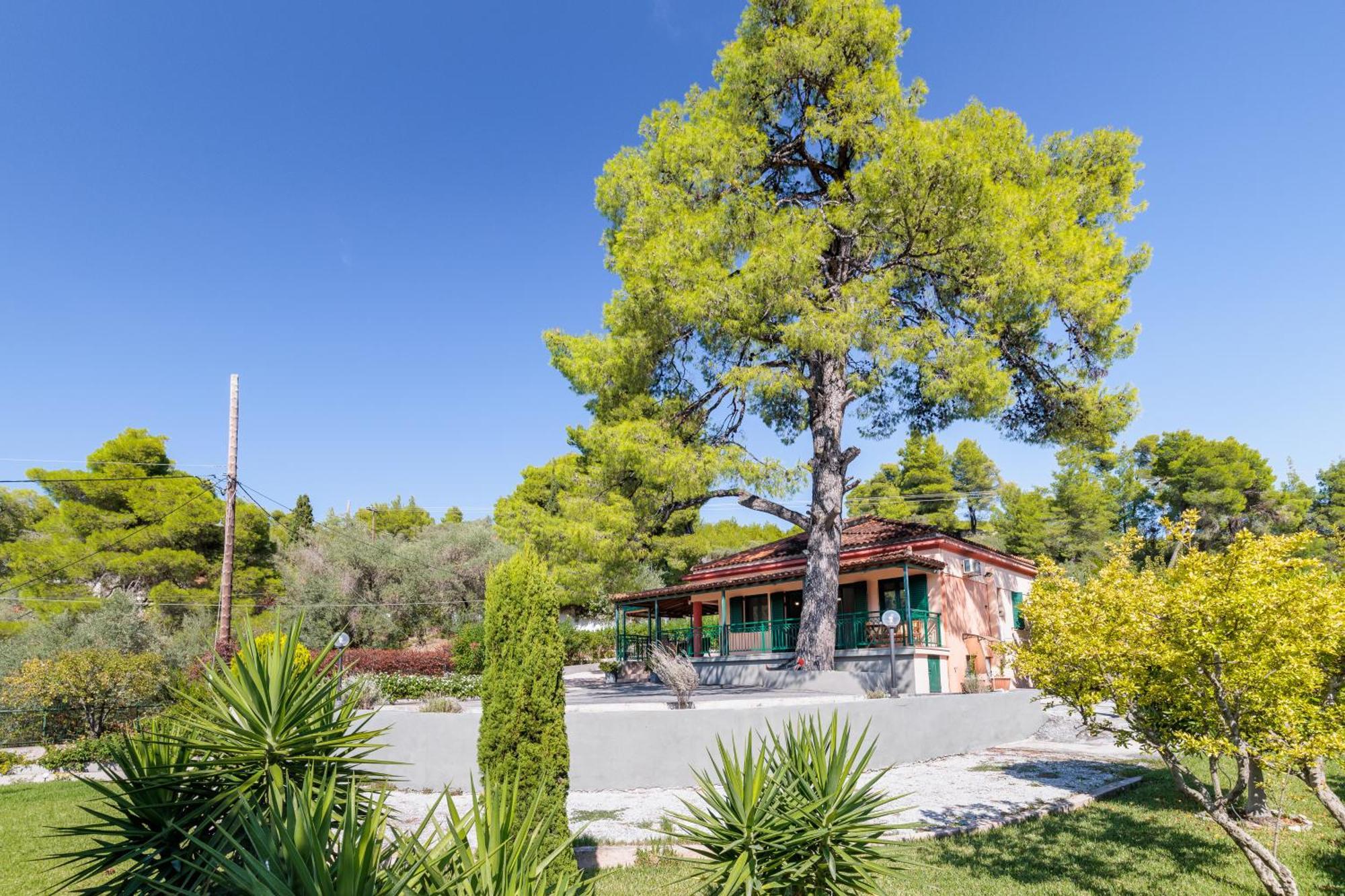 Skopelos Country House Diamantis & Chrisi Agnontas المظهر الخارجي الصورة